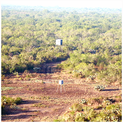 2019 helicopter-photos